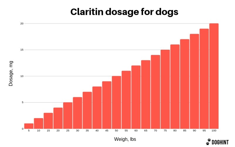 Claritin For Dogs Dosage Chart